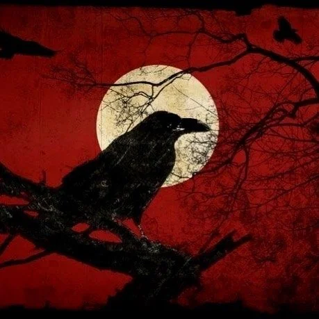 RavenStore