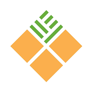 Ananas Impex