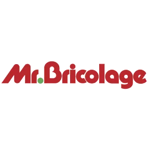 Mr. Bricolage