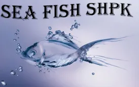 SEA FISH SHPK