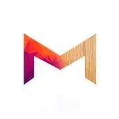 THE M CONCEPT