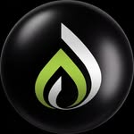 DHF Company