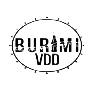 Burimi VDD