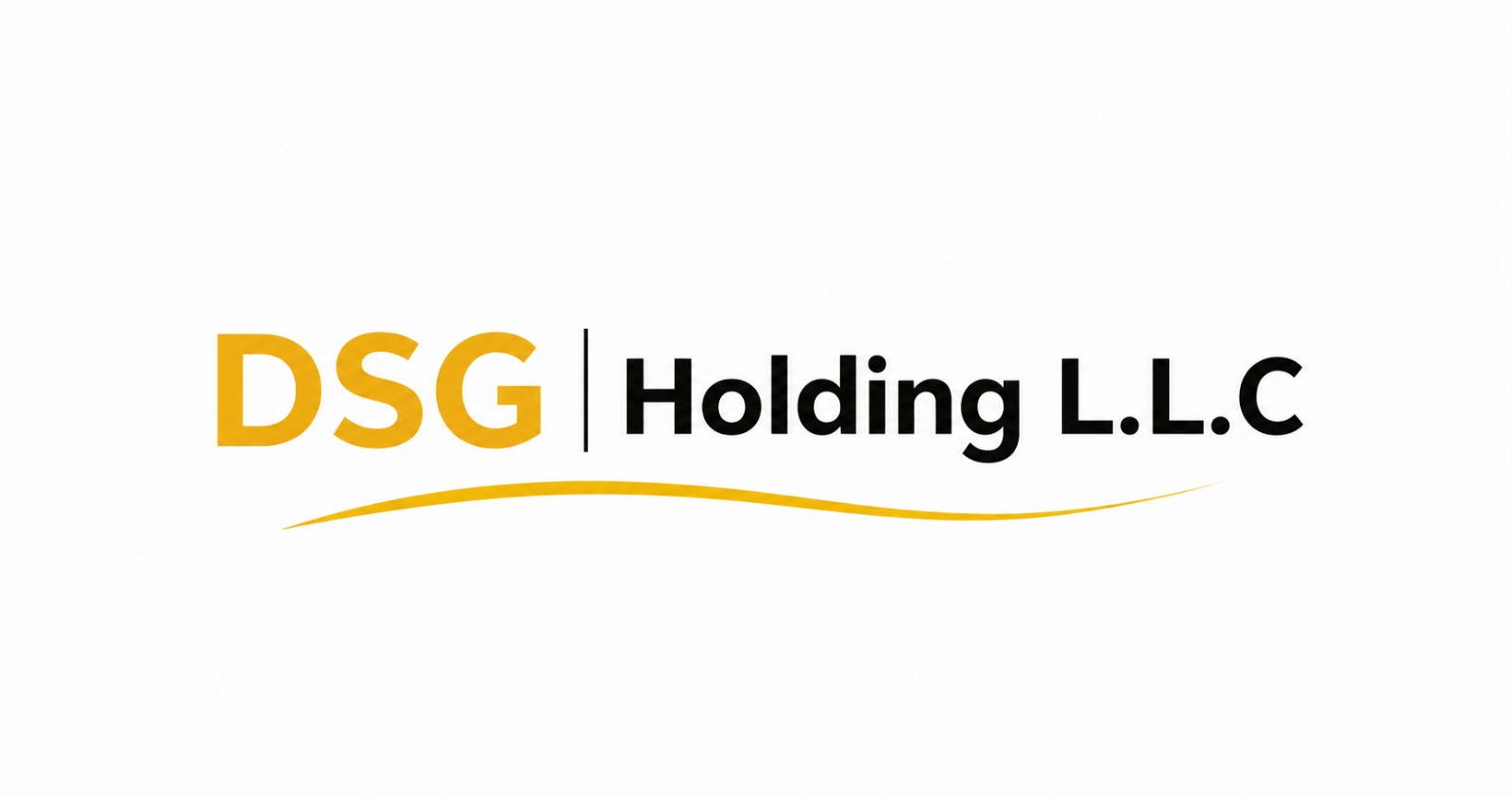 DSG HOLDING
