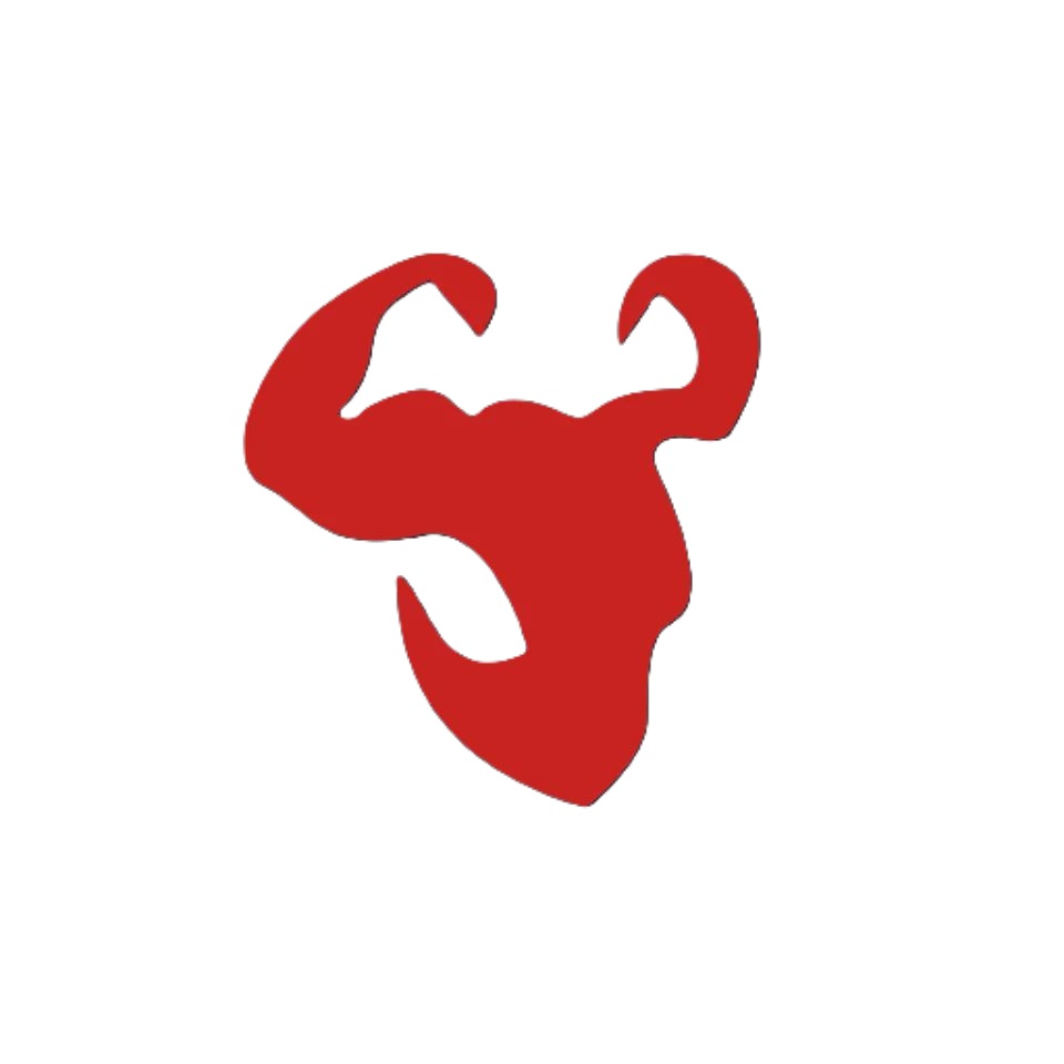Transformohu